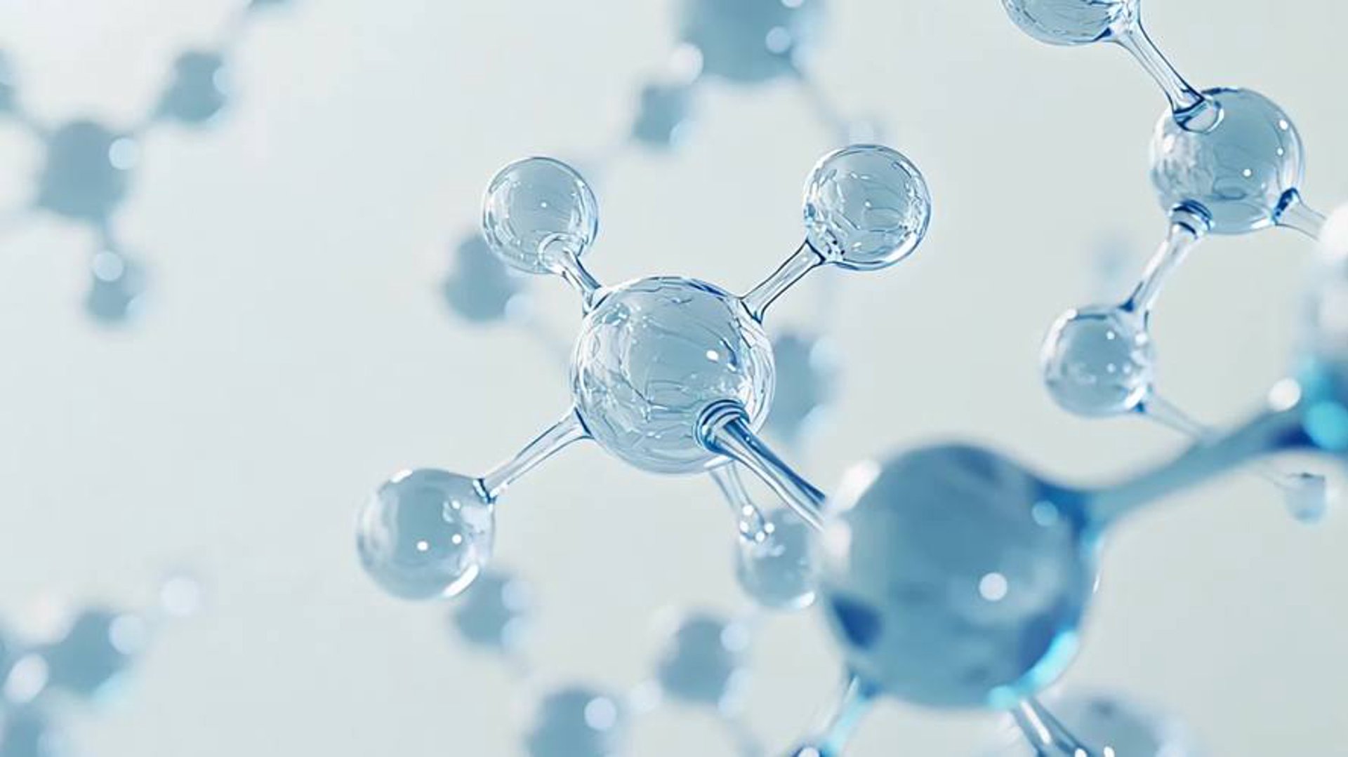 艾米生物技术